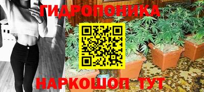 крисы Пушкино