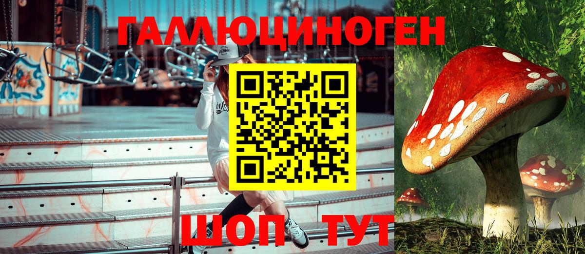 Симферополь  Псилоцибиновые грибы MAGIC MUSHROOMS  Вход с VPN  Псилоцибиновые грибы GOLDEN TEACHER 